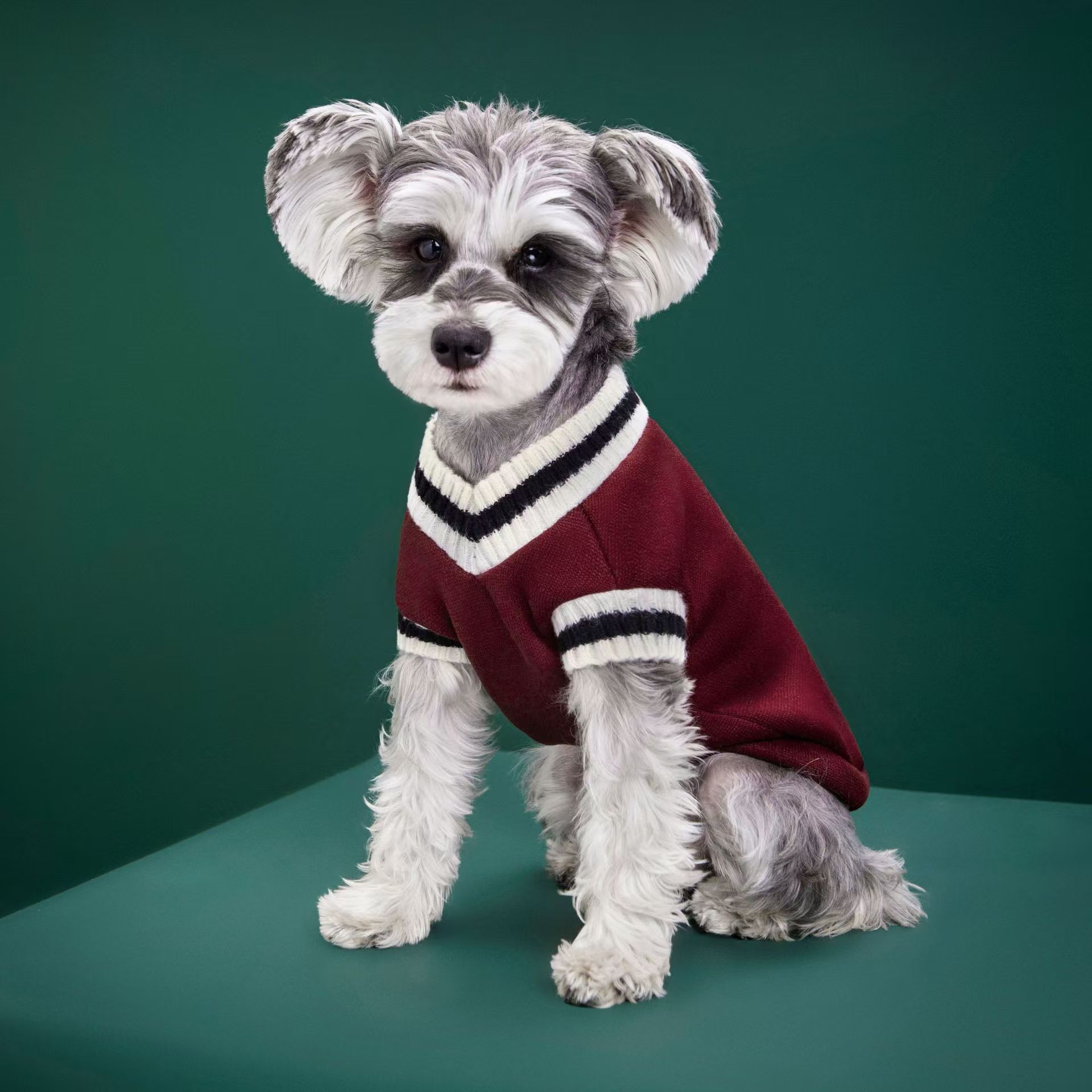 Winter Clothing Manufacturers - Fabricante de Ropa para Perros, Suéteres