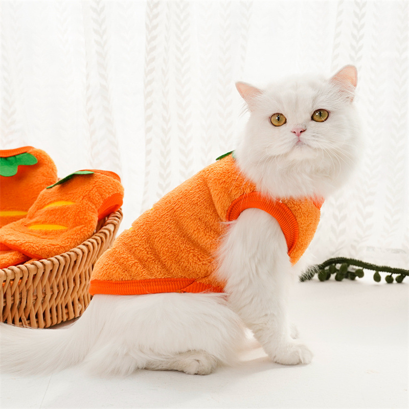 Ropa para mascotas, abrigos cá - Winter Clothing For Kids reseña y precio