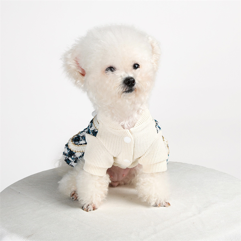 Ropa de princesa para perros p - Winter Clothing For Kids reseña y precio