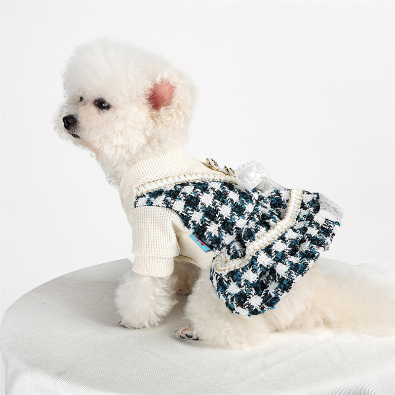 Ropa de princesa para perros p - Winter Clothing For Kids reseña y precio