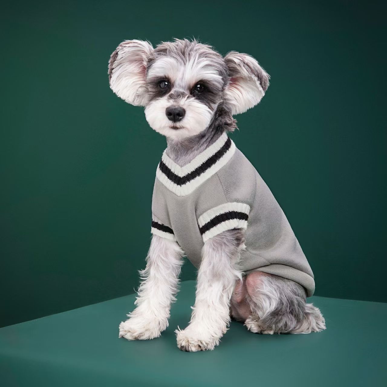 Fabricante de Ropa para Perros - Winter Clothing Manufacturers reseña y precio
