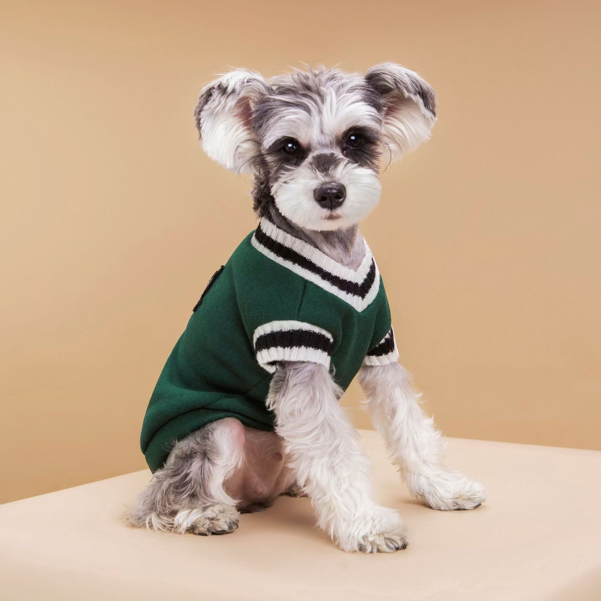 Fabricante de Ropa para Perros - Winter Clothing Manufacturers reseña y precio